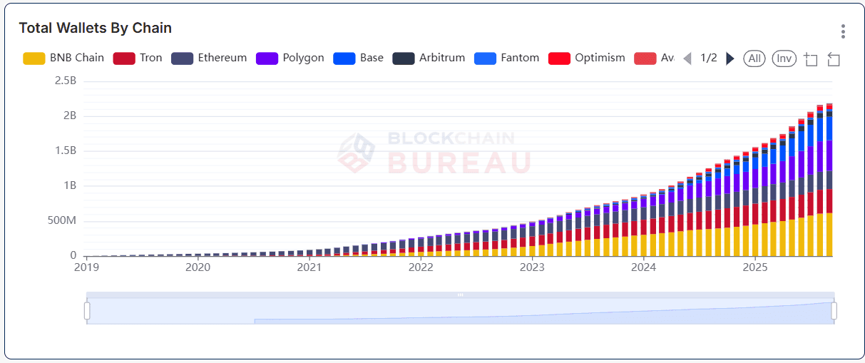 Blockchain Wallets: Scale, Activity, and Adoption Potential